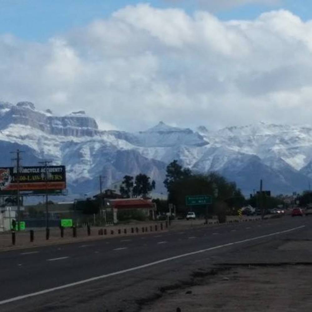 Meet your Posher, Sissy